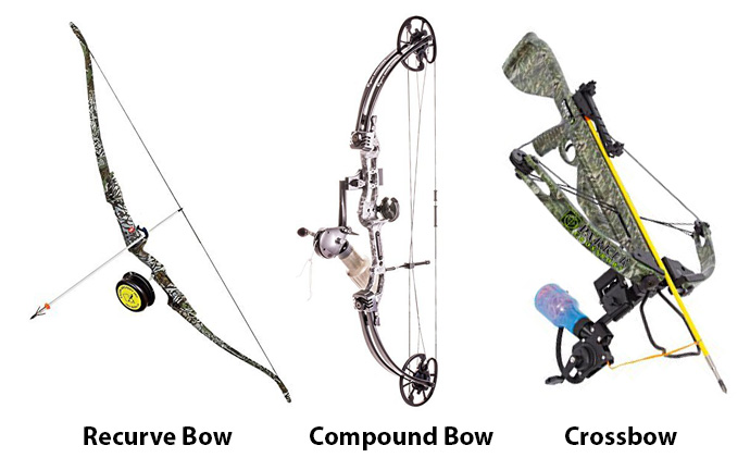 Types of Bowfishing Bows